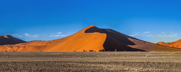 Naklejka na ściany i meble Famous red dunes of Sossusvlei at sunny day. Namib desert, Namibia.
