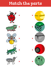 Fototapeta premium Match the part Educational game for children. Cartoon. Vector illustration