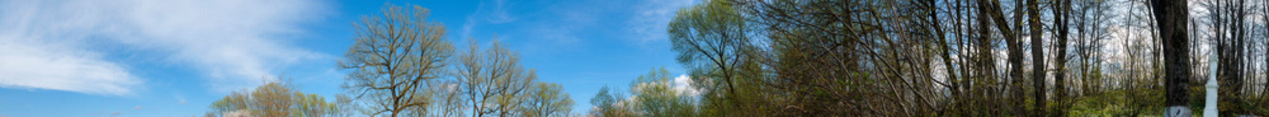 Statue of the Virgin and flowering trees. Blue sky.