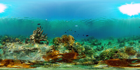 Fototapeta na wymiar Tropical coral reef seascape with fishes, hard and soft corals. Philippines. 360 panorama VR