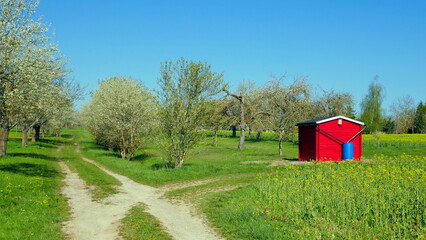 rote Hütte steht auf grüner Wiese bei blühenden Obstbäumen im Frühling unter blauem Himmel