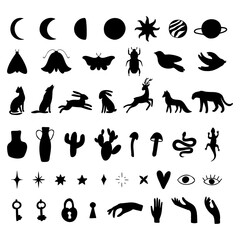 Set of black silhouettes. Moon, planets, stars, fores animals, moth, bird, mushrooms