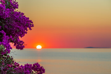 Summer sunset over the sea