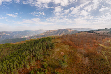 Drone aerial landscape view of pine trees and mountains during Fall in Mondim de Basto, Portugal