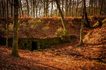 Fototapeta premium Antique stone hidden refuge on a fall landscape in Mondim de Basto, Portugal