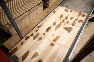 Carpentry factory. Automated equipment for laminate production. Modern robotic factory indoors. Woodworking production