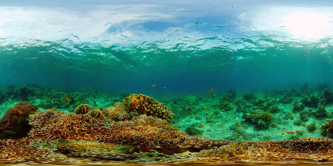 Obraz na płótnie Canvas Underwater world with coral reef and tropical fishes. Travel vacation concept 360 panorama VR