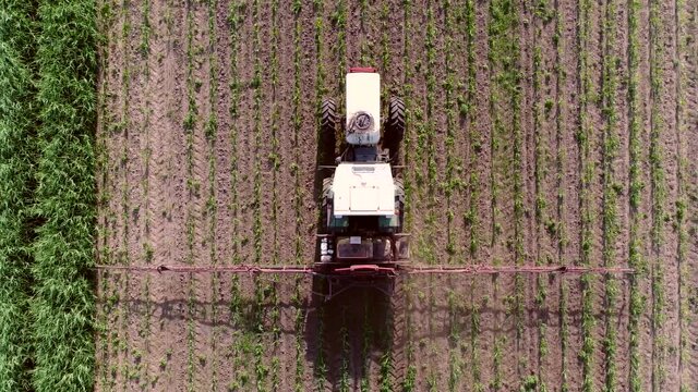 Aerial top down footage flying above tractor spraying chemicals over young corn field mostly glyphosate is used as pre-harvest herbicide and harvest aid on crops and is used to kill weeds 4k quality
