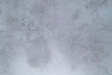 Drone above top view of Trees covered in snow on a white winter landscape with snow flakes falling in Mondim de Basto, Portugal