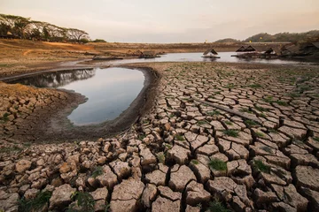 Gordijnen Image of the drought ground.Problems arising from global warming. © yuthapong