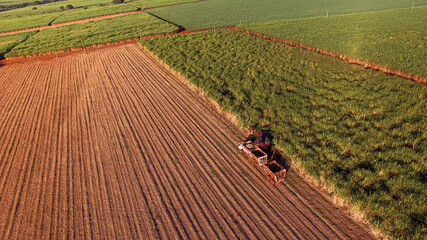 Sugar cane hasvest plantation aerial