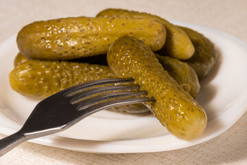 Crispy pickled cucumbers on a plate, on a light background. Cucumber on a fork.