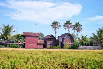 Obraz premium Balinesse landscape with traditional houses and rise field.