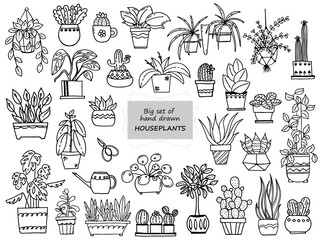 Big set of hand drawn houseplants. Set of doodle images of plants for home. Vector images for the decoration of various goods, textiles, postcards, notebooks, notebooks. Cacti, monsters, succulents 