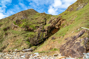Sheep standing on the cliffs of the Silver Strand in County Donegal - Ireland