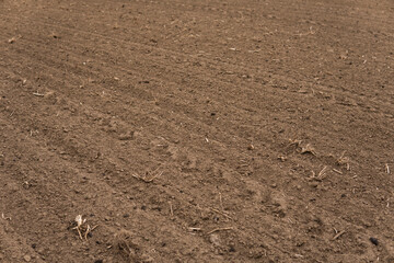 A pure plowed field under the cloudy sky.