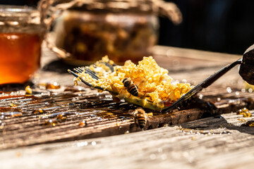 A tool of the beekeeper to work with bees. Smoker, cutting wax lids with hot fork from honeycomb for honey extraction, honeycomb concept