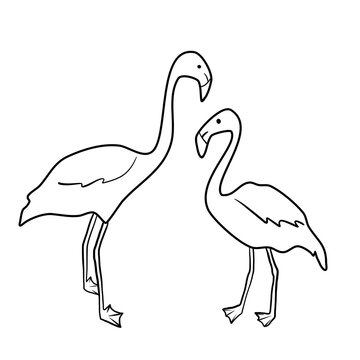 Bitmap image of two flamingos, isolated image, black outline of elements on a white background.
