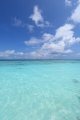 Fototapeta na wymiar paradise idyllic seascape in the Indian Ocean, turquoise water and blue sky