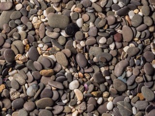 Multi-colored dry pebbles on the shore. Pebble background. Shore. Pebble texture