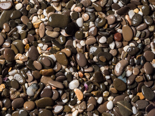 Multi-colored wet pebbles on the shore. Pebble background. Shore. Beach. Pebble texture