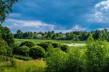 landscape with trees