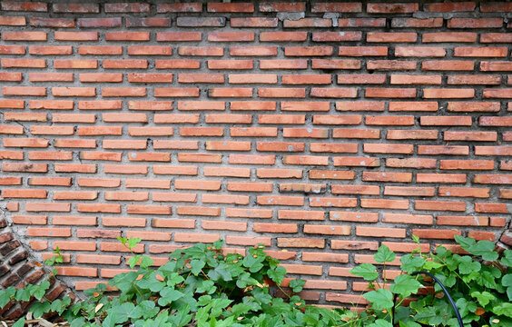 Closeup of Colorful Brick Concrete wall is a block texture background for design and decoration. © masterjew