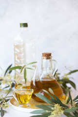 Olive branch and olive oil bottle isolated on white.
