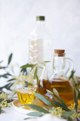 Olive branch and olive oil bottle isolated on white.