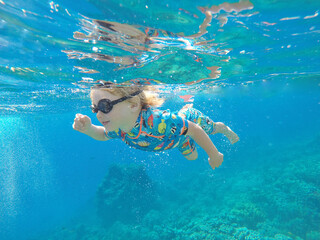 One toddler boy caucasian blond hair snorkeling under sea water. blue sea corals small boy...