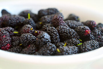 Beautiful mulberry berries in a white plate