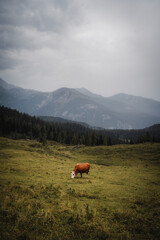 Velika Planina - Slovenia