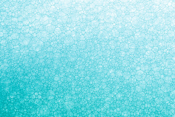 Macro bubble,Macro close up of soap bubbles look like scienctific image of cell and cell membrane