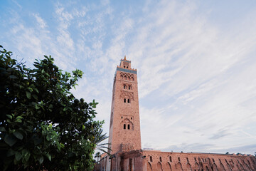 Fototapeta premium Koutubia mosque in Marakech. One of most popular landmarks of Morocco.
