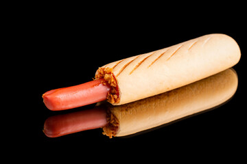 hot dogs French, mustard, French onions, ketchup, sausage, grilled bun