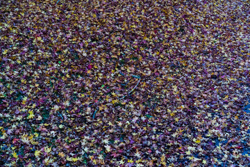 紅葉。背景。バックグラウンド。秋イメージ。