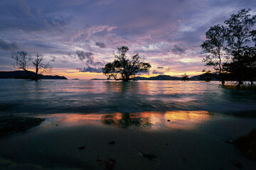 Beautiful sunset landscape with colorful sky and tree silhouette in water near the shore.