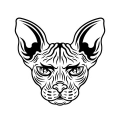 Sphynx cat head vector illustration in vintage monochrome style isolated on white background