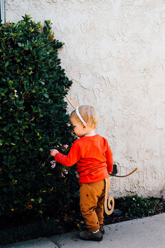 Little boy wearing monkey costume curiously examining green bush growing outdoors