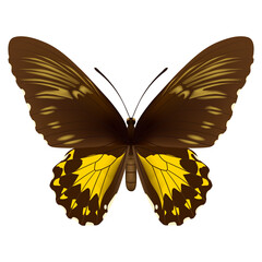 Hand drawn vector illustration