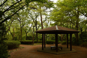 Fototapeta na wymiar 新緑の季節の公園の休憩所