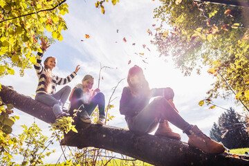 Friends enjoying while sitting on tree at countryside