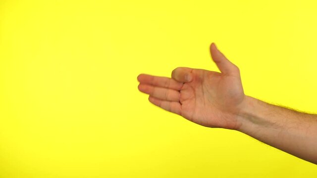 A man's hand shows the dog's muzzle gesture.