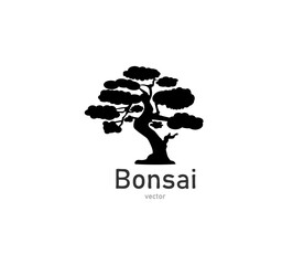 Japanese bonsai tree. Black logo, tree icon. Bonsai silhouette vector illustration on isolated white background. Ecology, nature, bio concept. Design template. Text can be replaced