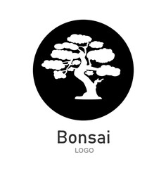 Japanese bonsai tree. Black round logo, tree icon. Bonsai silhouette vector illustration on isolated white background. Ecology, nature, bio concept. Design template. Text can be replaced