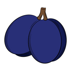 Plum, apricot on a sprig, fruit in a linear style. Colorful vector decorative element, drawn by hand.