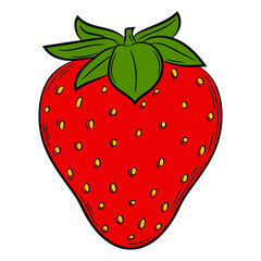 Strawberry fruit in a linear style. Colorful vector decorative element, drawn by hand.