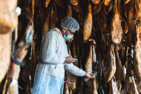Employee choosing ham hanging in slaughterhouse