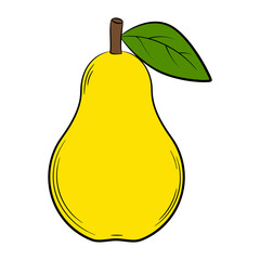 pear fruit in a linear style. Colorful vector decorative element, drawn by hand.