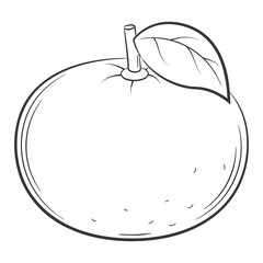 mandarine, tangerine, fruit in a linear style. Black and white vector decorative element, drawn by hand.